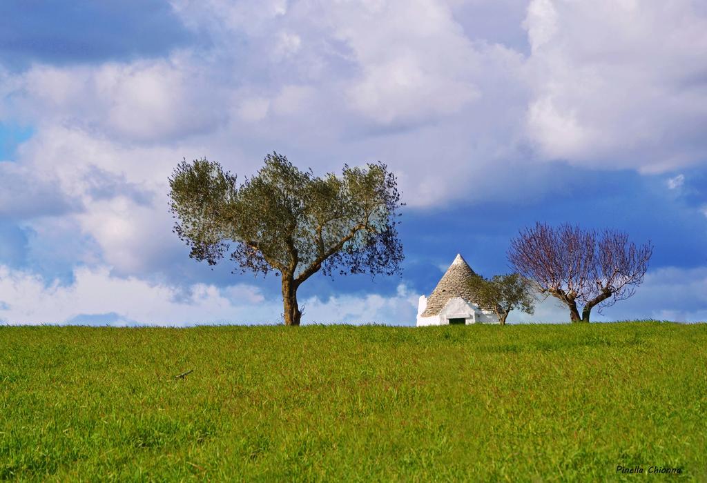 Albergo Masseria Refrigerio Ostuni Exteriör bild