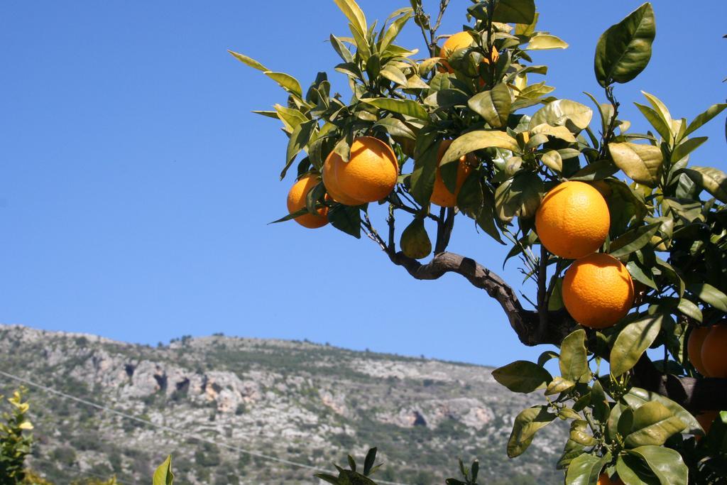 Albergo Masseria Refrigerio Ostuni Exteriör bild